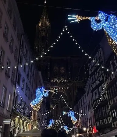 La Robertsau Apartment